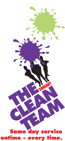 The Squeaky Clean Team Deer Park